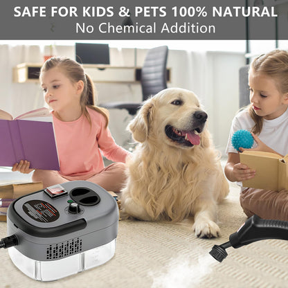 Win a Handheld 2500W Steam Cleaner | 12-in-1 Steamer for Home & Car Cleaning - ONLY AVAILABLE FOR GIVEAWAYS