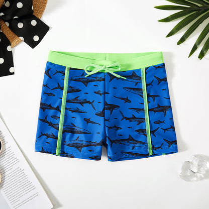Boys’ Quick-Dry Beach Boxer Swim Shorts – Lightweight & Comfortable | Save 30% Today!