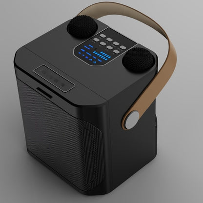 All-in-One Bluetooth Karaoke Speaker with 2 Mics