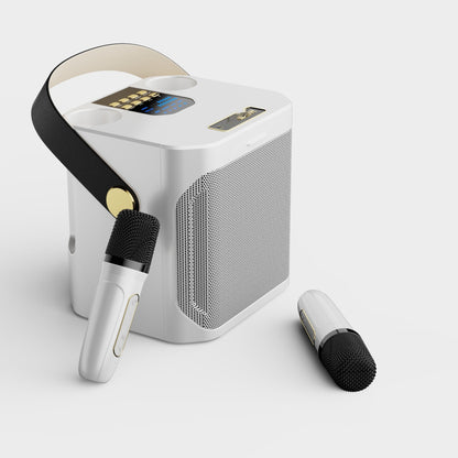 All-in-One Bluetooth Karaoke Speaker with 2 Mics